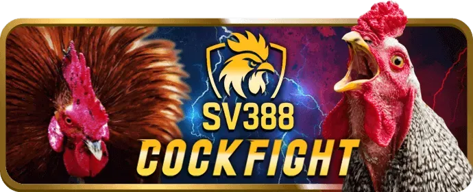 Hỗ trợ khách hàng 24/7 của ku11bet app